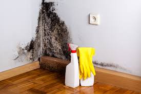 Best Commercial Mold Inspection  in Riverside, CA